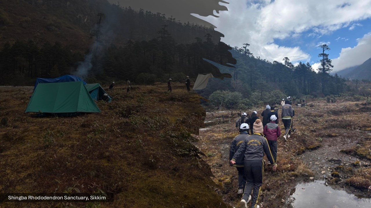 Shingba Rhododendron Sanctuary-Sikkim
